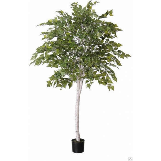 Искусственное растение Береза
