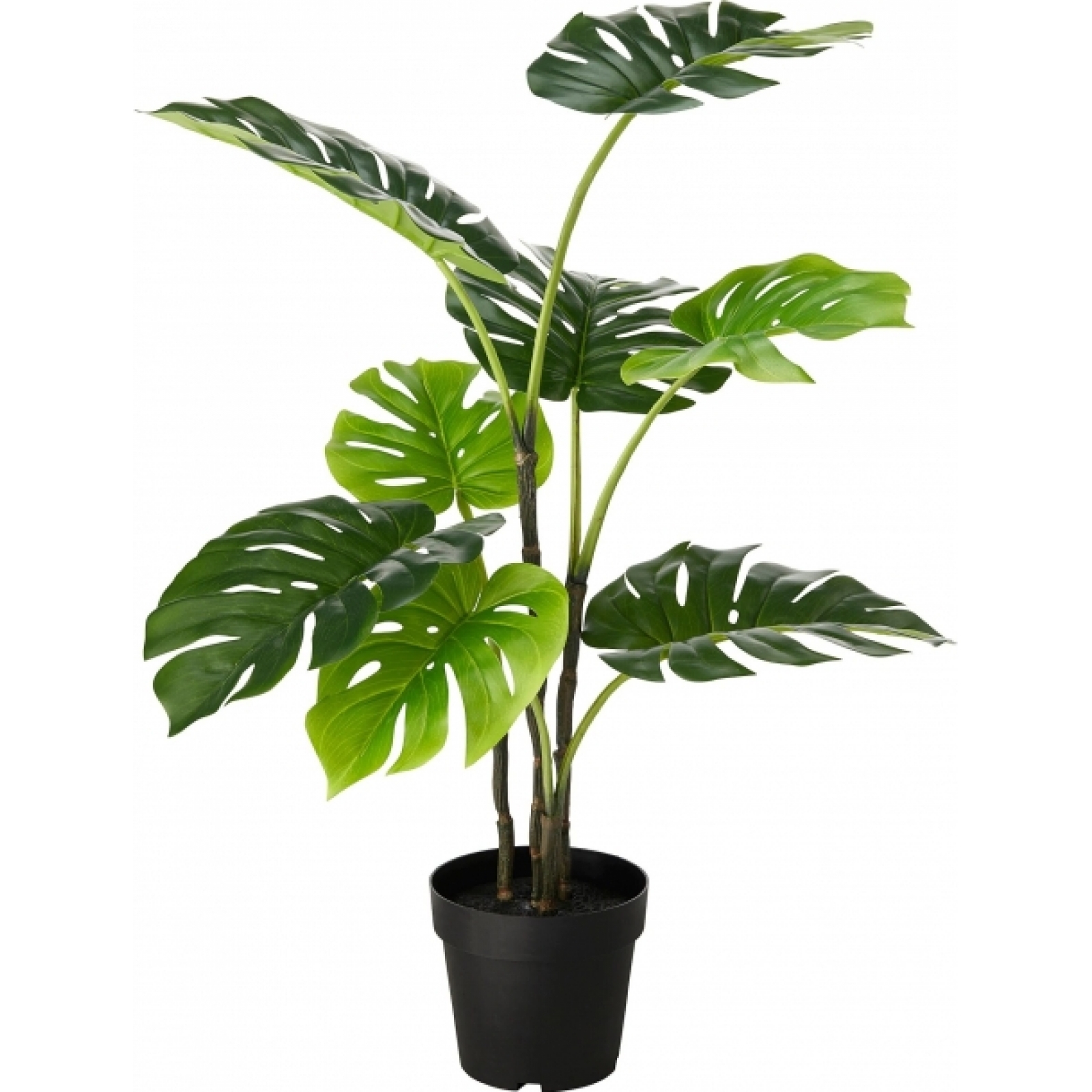 Искусственное растение Монстера в аренду