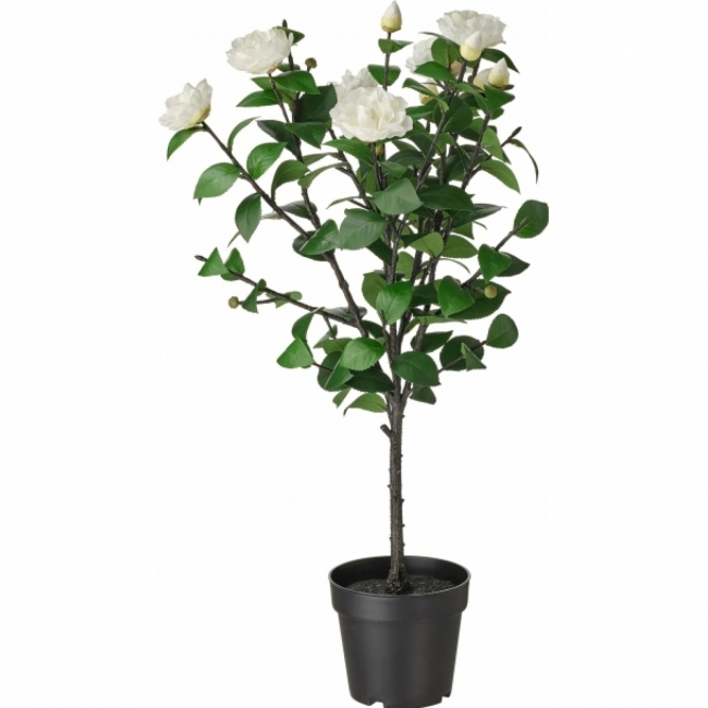 Искусственное растение Камелия