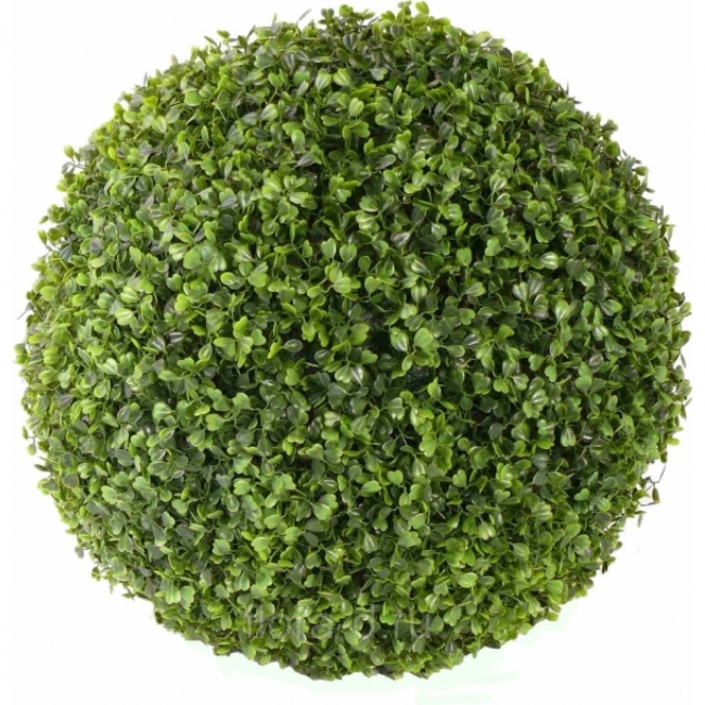 Искусственное растение Самшит