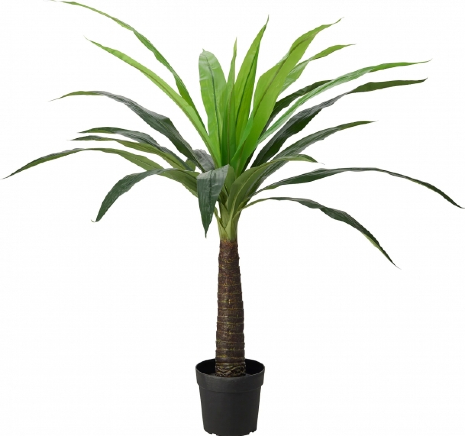 Искусственное растение Пальма в аренду