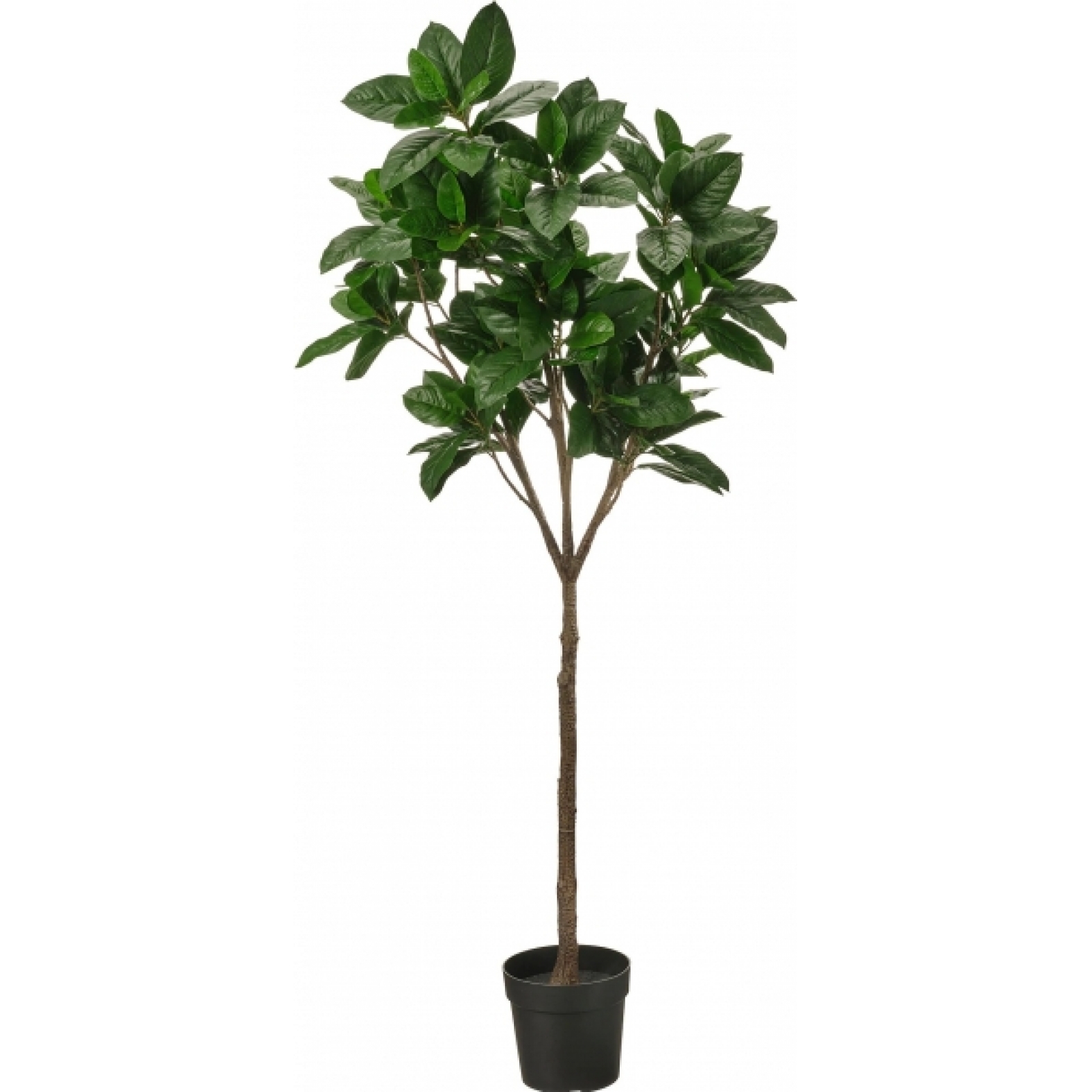 Искусственное растение Магнолия в аренду