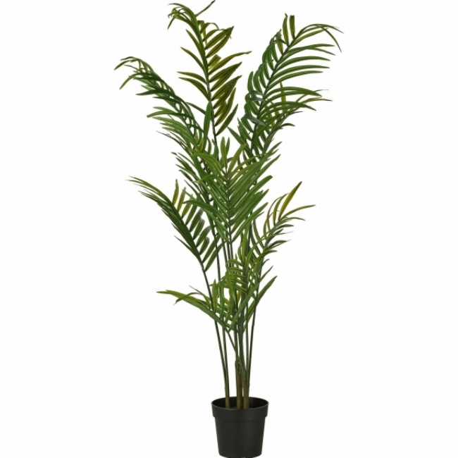 Искусственное растение Ховея Форстера